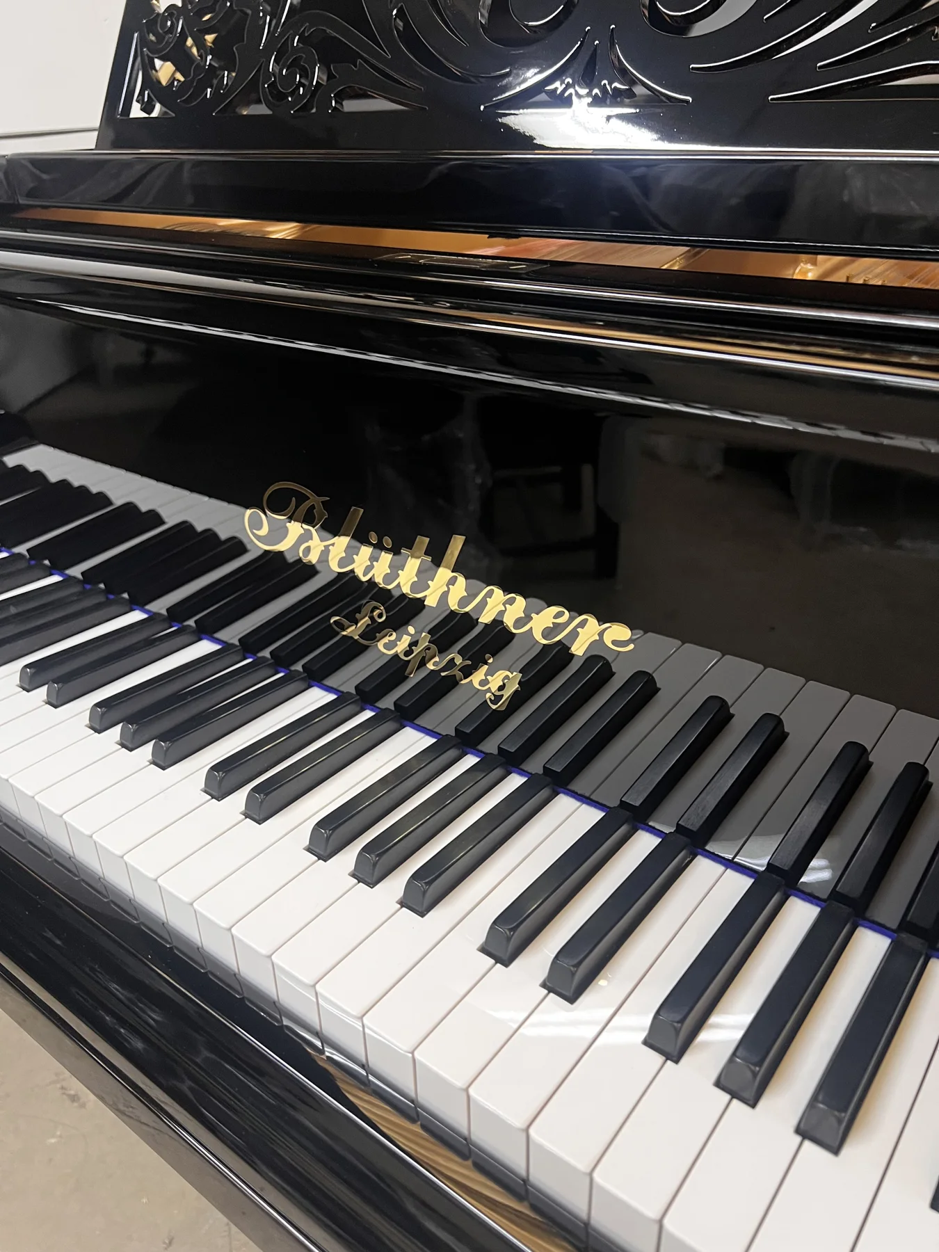 1889 Blüthner Kaiser Jubilee Style VIII Grand Piano · additional instrument photograph