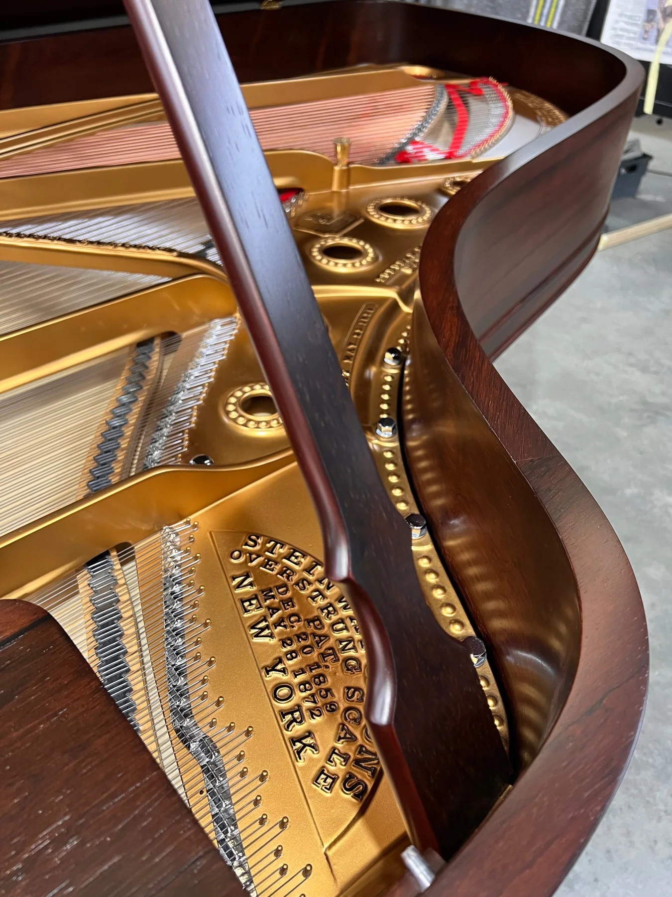 Snow Patrol - The Forest Is The Path - photograph from Piano Restorations