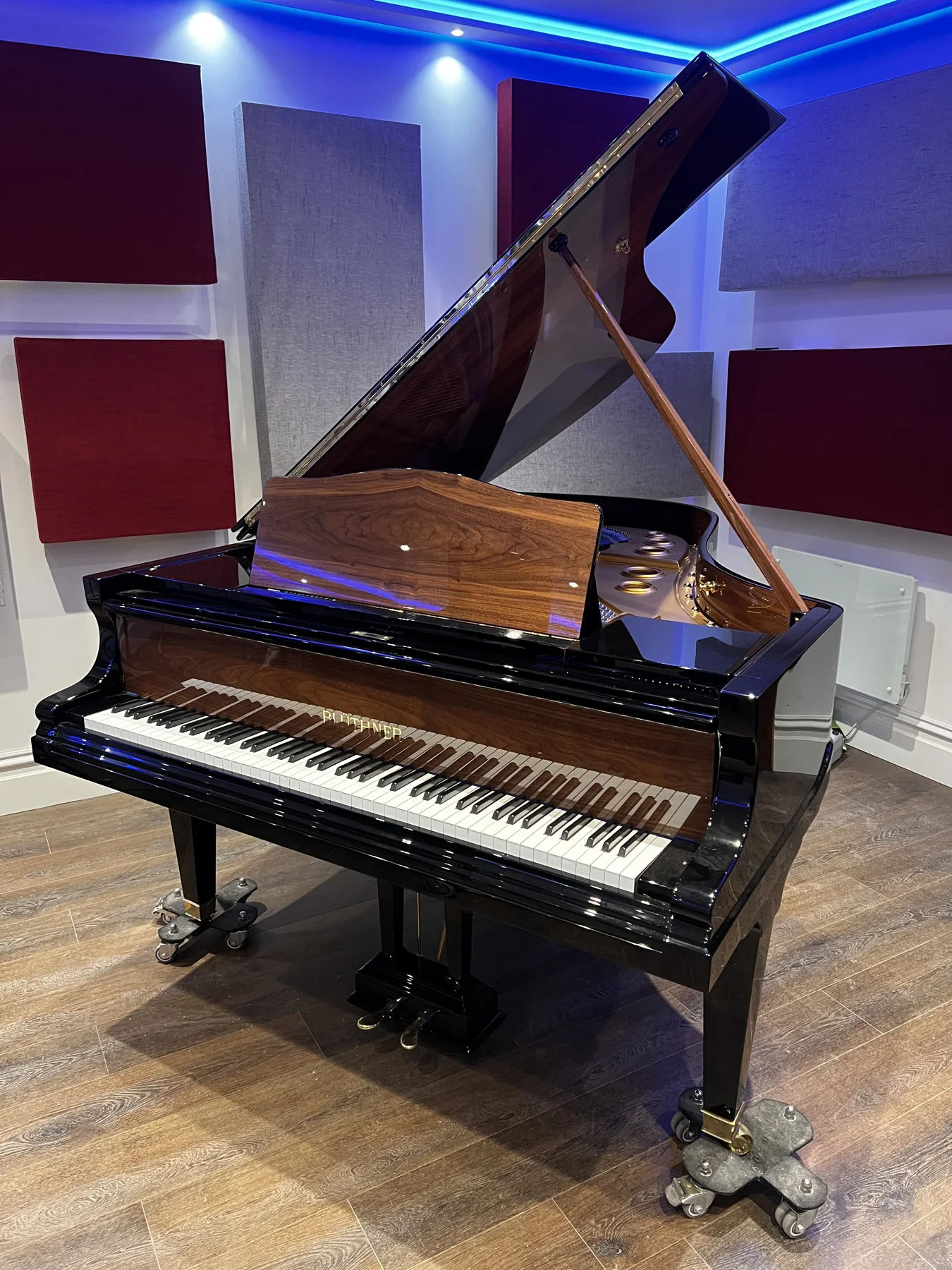 1921 Blüthner Style VII Grand Piano
